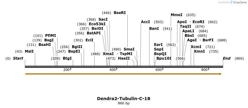 108190_map