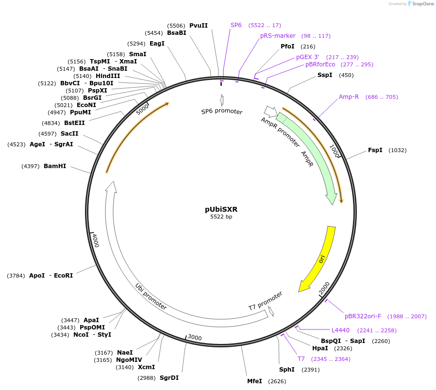 108191_map
