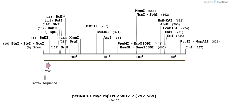 108193_map