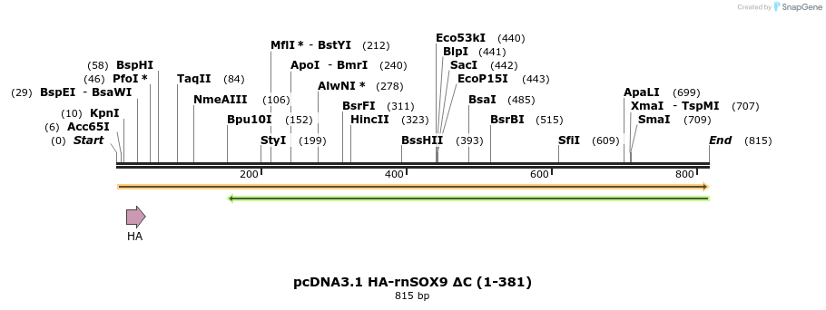 108195_map