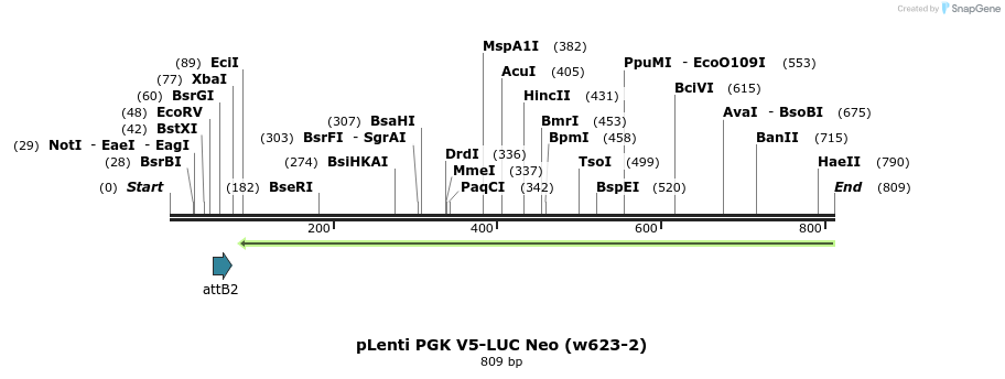 108197_map