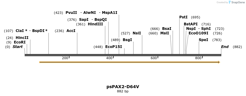 108199_map