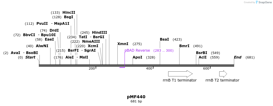 108201_map