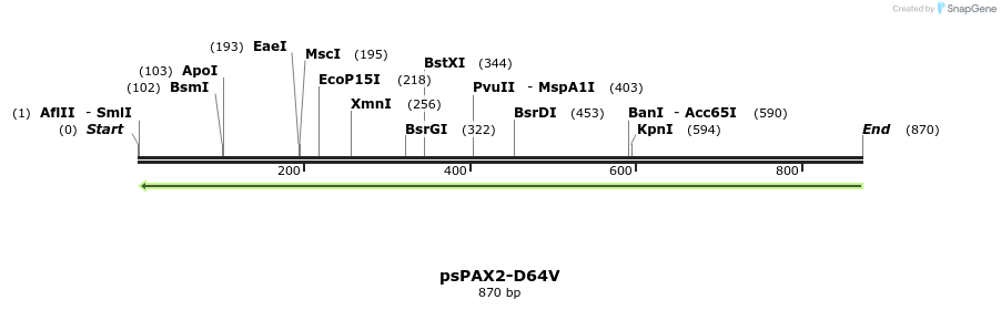 108202_map