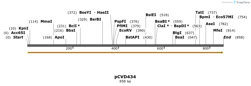 108206_map
