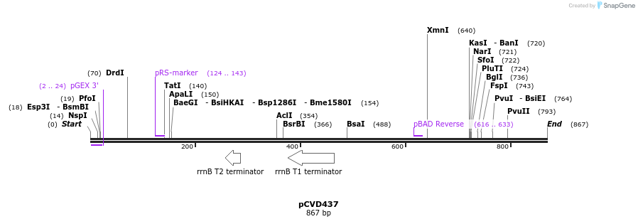 108207_map
