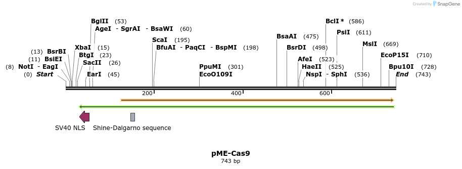108209_map
