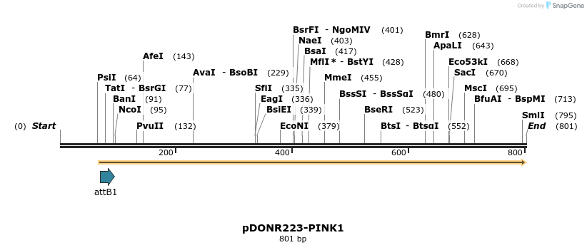 10821_map