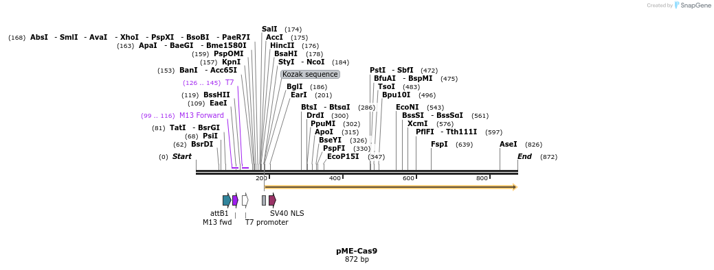 108212_map