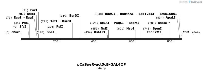 108213_map
