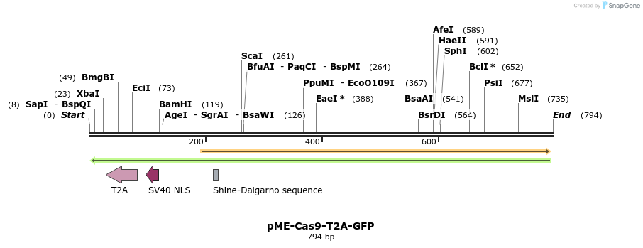 108215_map
