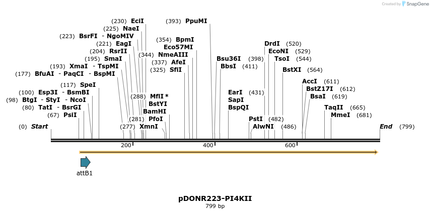 10822_map