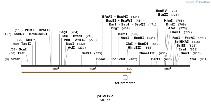 108226_map