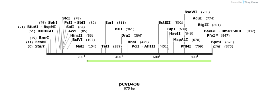 108228_map