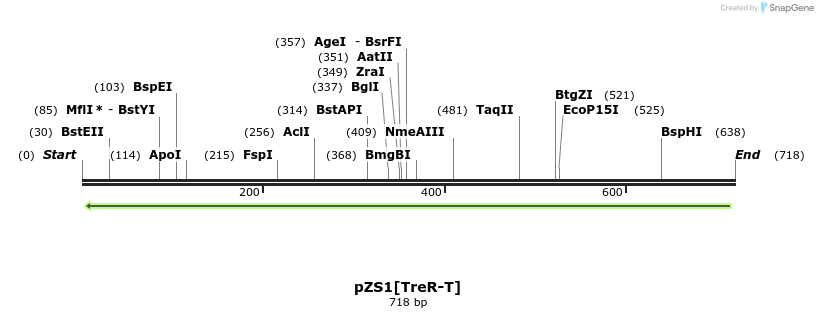 108239_map