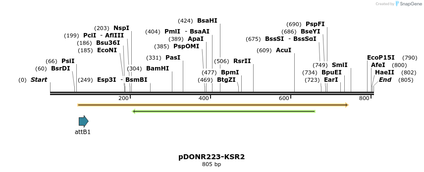 10824_map