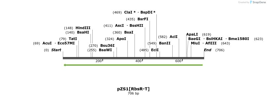 108241_map