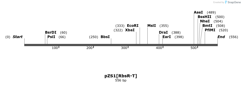 108242_map