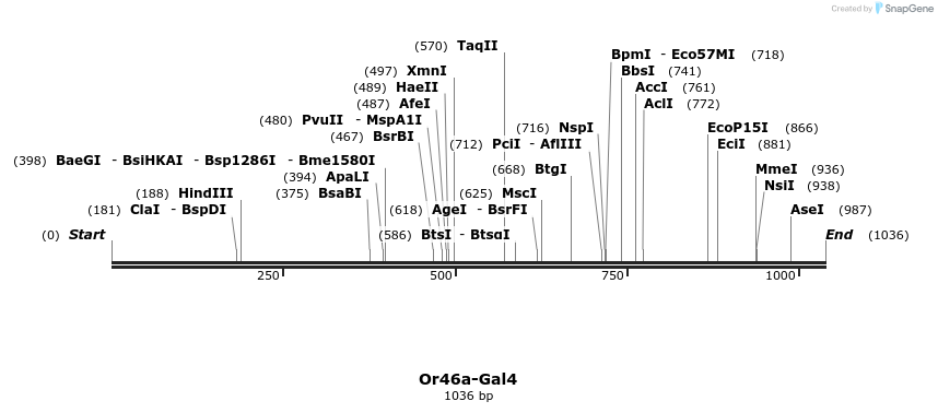 108246_map