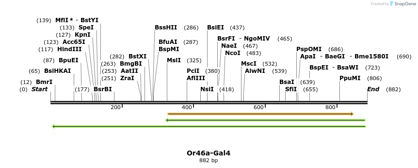 108254_map