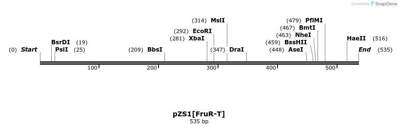 108256_map