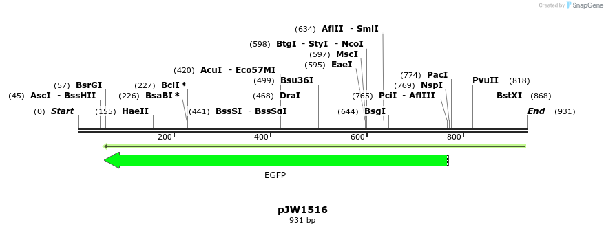 108257_map