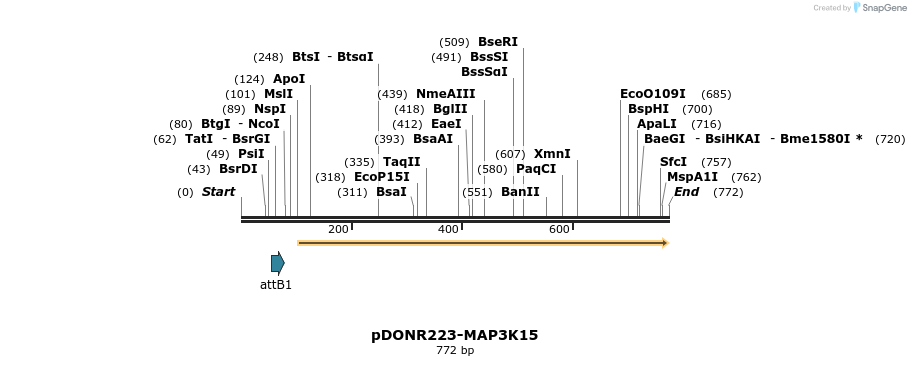 10826_map