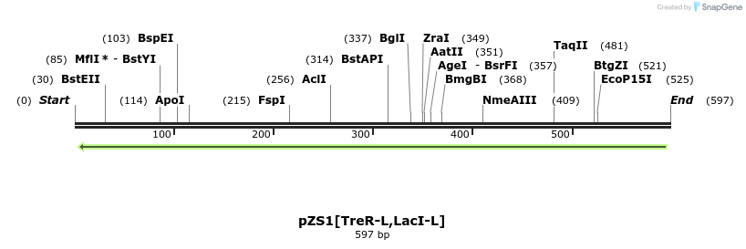108260_map