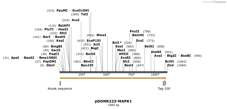 10827_map