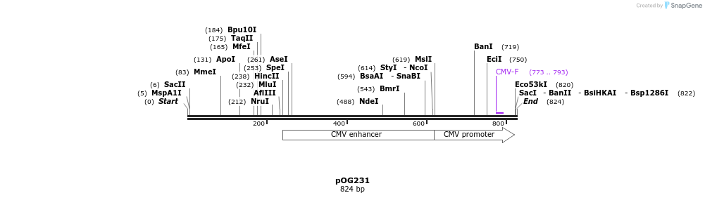 108270_map