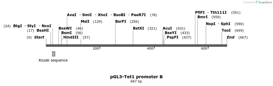 108274_map