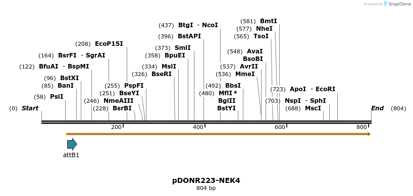 10828_map