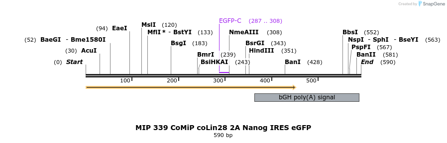 108284_map