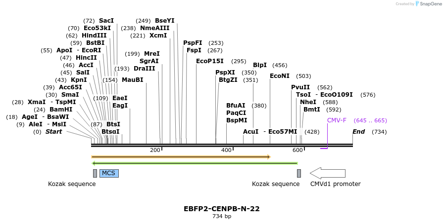 108286_map
