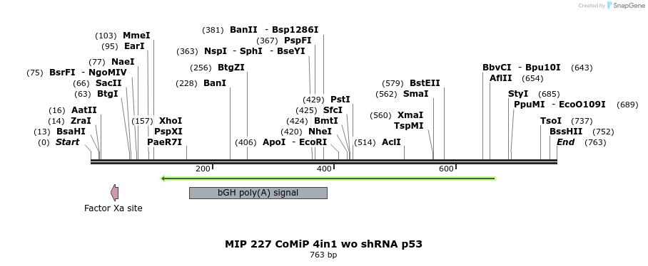 108288_map
