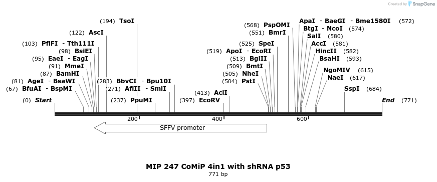 108292_map