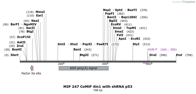 108293_map