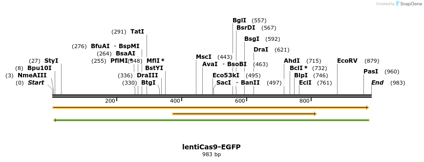 108294_map