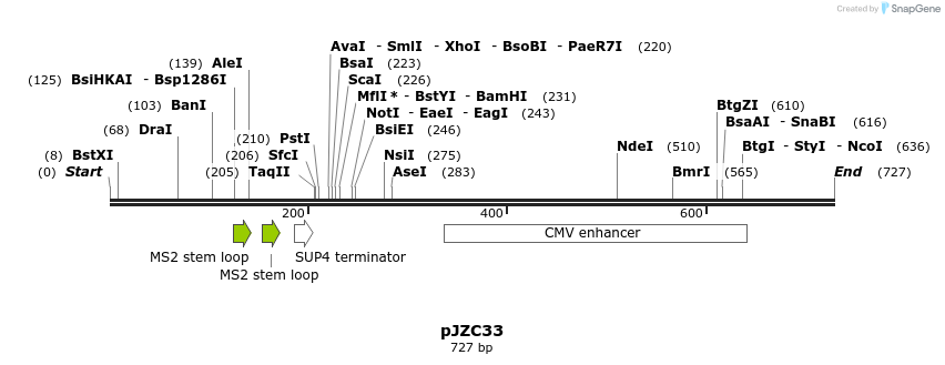 108295_map