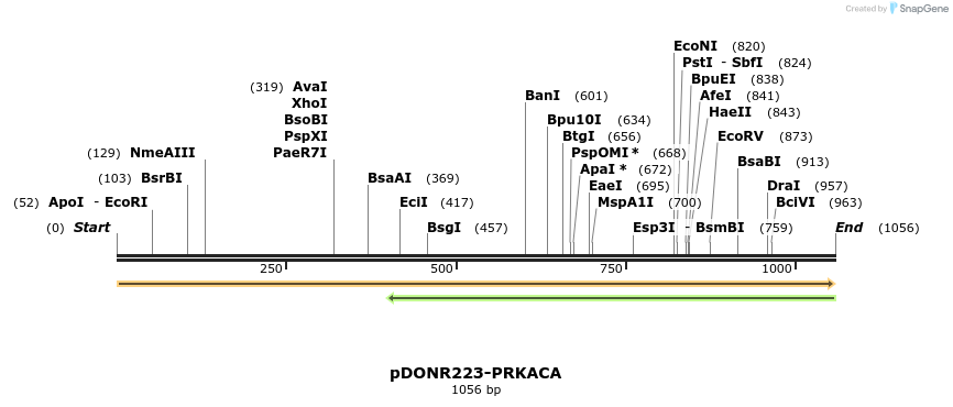 10830_map