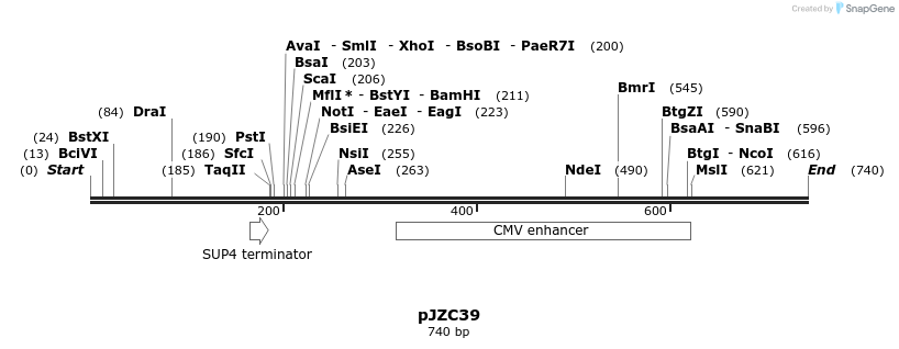 108304_map