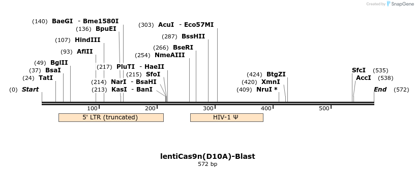 108307_map