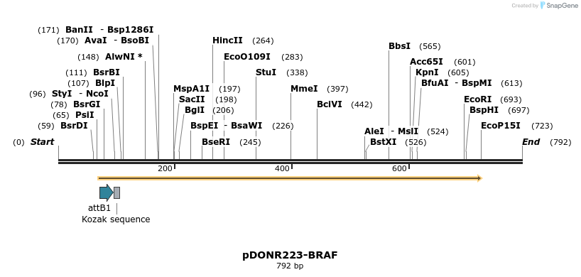 10831_map