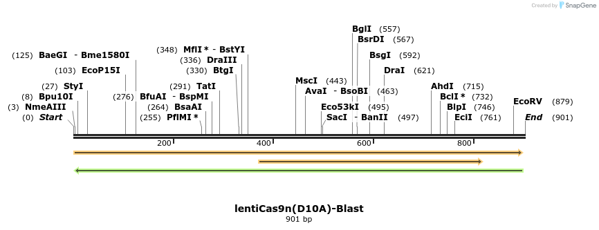 108310_map
