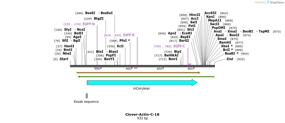 108311_map