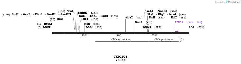 108313_map
