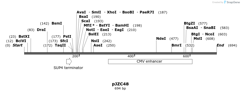 108317_map