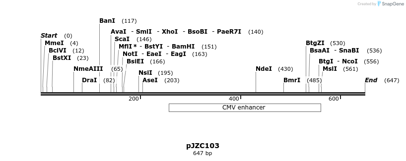 108325_map