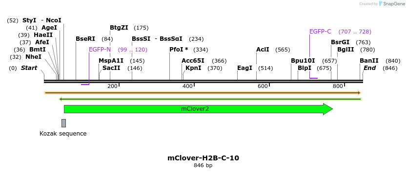 108328_map
