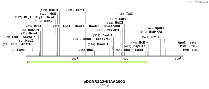 10833_map